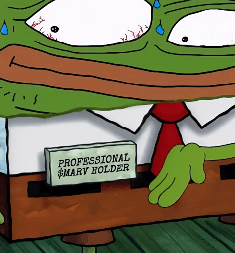 PROFESSIONAL HOLDER MARV